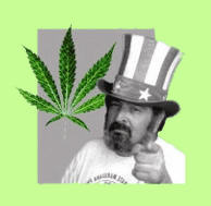 Jack Herer